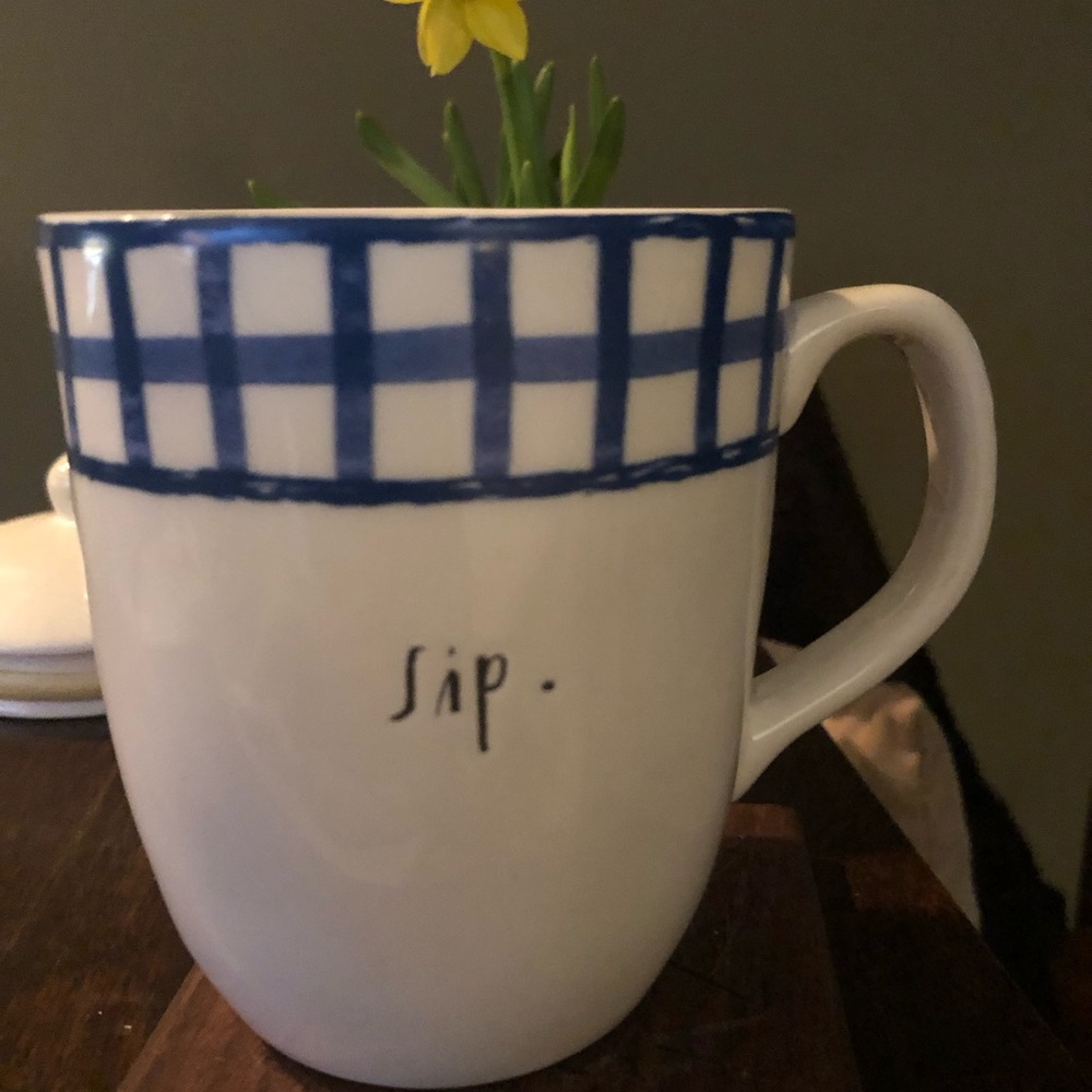 Rae Dunn Blue and White Checkered Mug